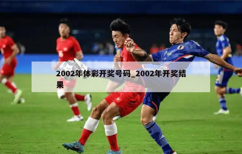 2002年体彩开奖号码_2002年开奖结果