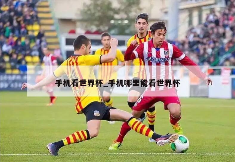 手机看世界杯_手机哪里能看世界杯