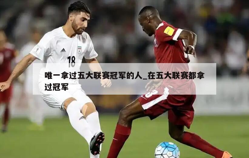 唯一拿过五大联赛冠军的人_在五大联赛都拿过冠军