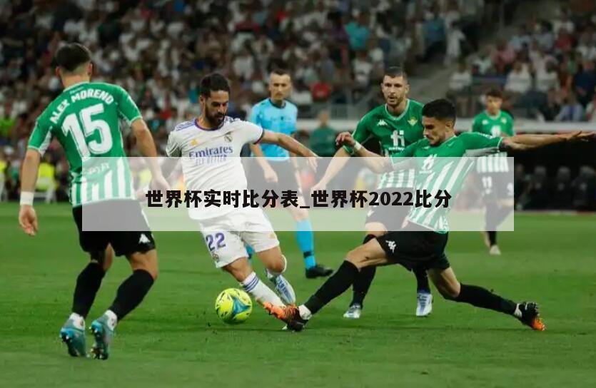 世界杯实时比分表_世界杯2022比分