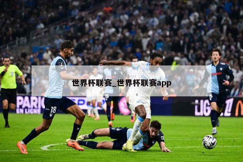 世界杯联赛_世界杯联赛app